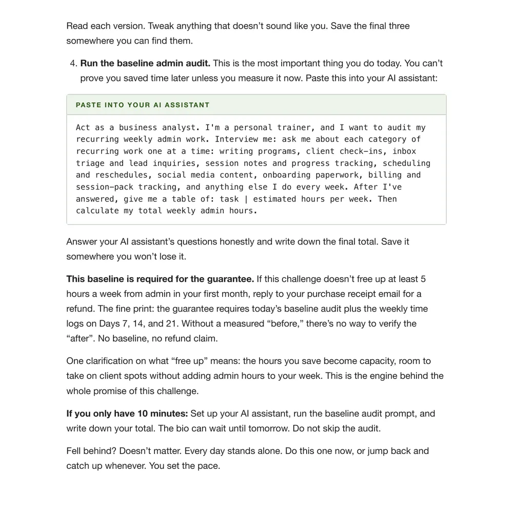 Playbook page 10: the baseline admin audit prompt in a labelled paste-into-your-AI-assistant box, with the guarantee note below it